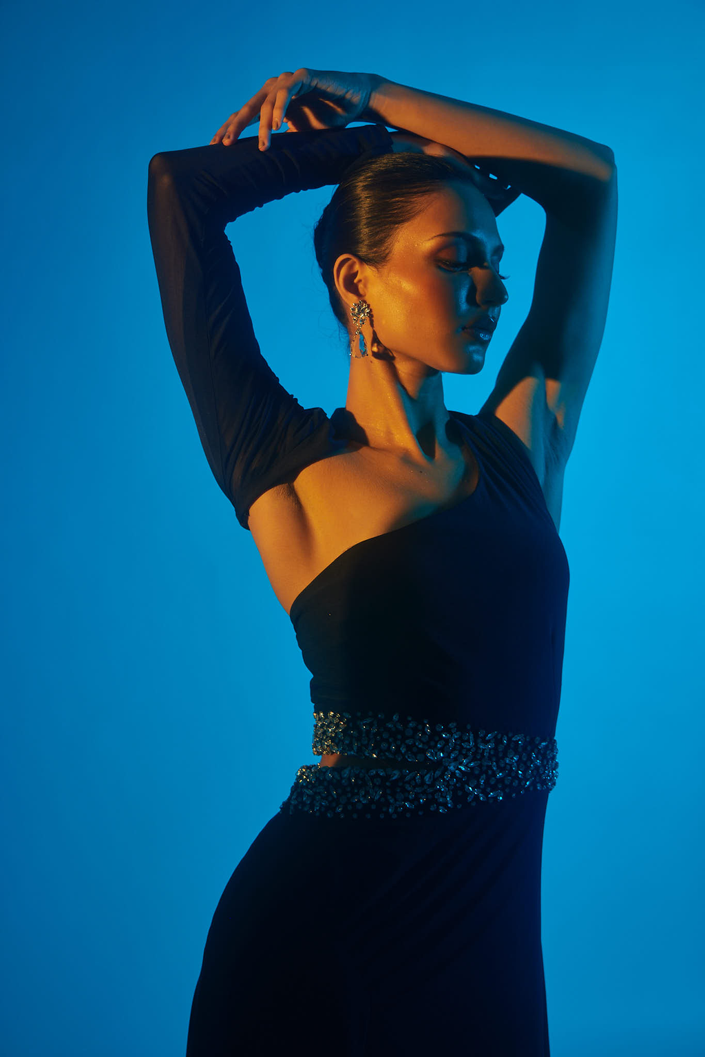 Sophia Embroidered Gown